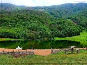 سفر به دریاچه ویستان بره سر